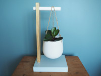 Branch out with this gorgeous DIY plant stand