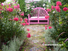 garden, garden seat, courtyard, pink seat, pink paint, exterior, pink garden