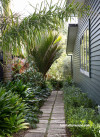 garden, palms, painted weatherboards, grey house, grey exterior, house garden, garden path 