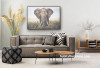 lounge, living room, grey lounge, grey living room, resene archive grey, elephant print