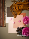 Paint swatches, pink paint, warm paint colours, Resene